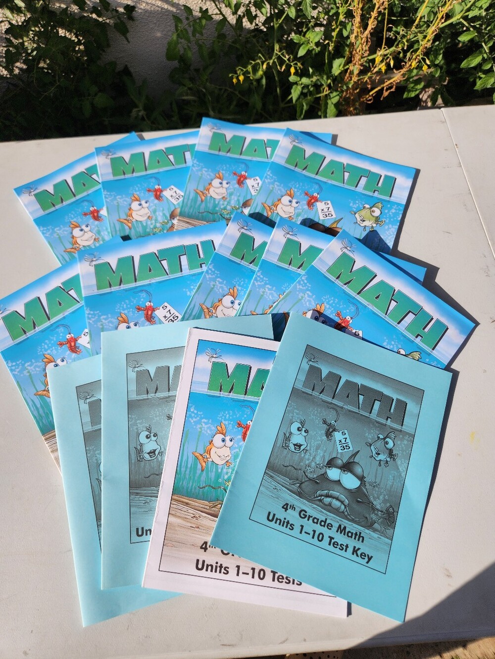 COMPLETE 4th grade math workbooks curriculum Homeschooling HomeschoolGrade 4